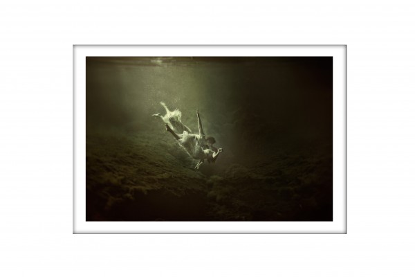 Extremly Humbled and Incredibly Honored